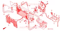 RADIATEUR pour Honda CBR 900 RR de 1993