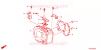CYLINDRE pour Honda LEAD 110 EX de 2008