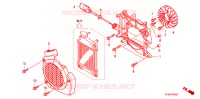 VENTILATEUR ET COUVERCLE DE RADIATEUR pour Honda LEAD 110 EX de 2008