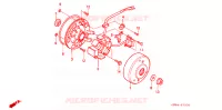 ALTERNATEUR pour Honda Z 50 R de 1998