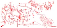 RADIATEUR pour Honda CBR 600 F4 de 2000
