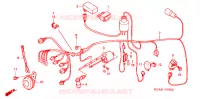 FAISCEAU DES FILS pour Honda CG 125 TITAN PARTIDA ELÉTRICA, FREIO A DISCO DIANTEIRO de 2003