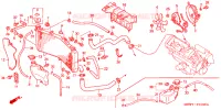 RADIATEUR pour Honda CBR 600 F4 de 2002