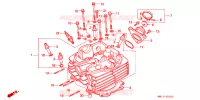 CULASSE pour Honda XR 600 R de 1995