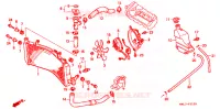 RADIATEUR pour Honda CBR 600 de 1998
