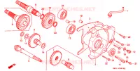 BOITE DE VITESSES pour Honda LEAD 90 SILVER de 1993