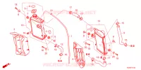 RADIATEUR pour Honda CRF 250 R de 2024
