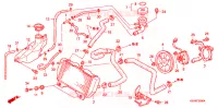 RADIATEUR pour Honda FORZA 250 Z SPECIAL de 2007