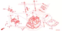CULASSE pour Honda CRF 450 R SPECIAL EDITION de 2024
