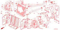 RADIATEUR pour Honda FOURTRAX 520 FOREMAN RUBICON 4X4 AT DCT EPS DELUXE de 2024