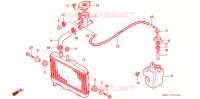 RADIATEUR pour Honda NSR 50 de 1987