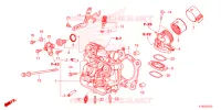CULASSE pour Honda FORZA 250 ABS TOP CASE de 2024