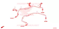 DURITE DE FREIN AVANT pour Honda CB 300 R de 2023