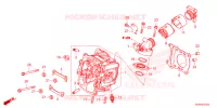 CULASSE pour Honda SH 350 SMART TOP BOX de 2024