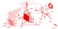RADIATEUR pour Honda CLICK 125 SPOKED WHEELS de 2021