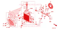 RADIATEUR pour Honda CLICK 125 SPOKED WHEELS de 2021