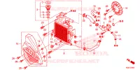 RADIATEUR pour Honda CLICK 150 de 2019
