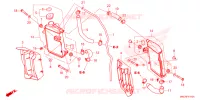 RADIATEUR pour Honda CRF 450 R de 2025