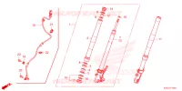 FOURCHE pour Honda MSX 125 SPECIAL de 2024