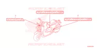 AUTOCOLLANTS pour Honda RUCKUS 50 de 2025