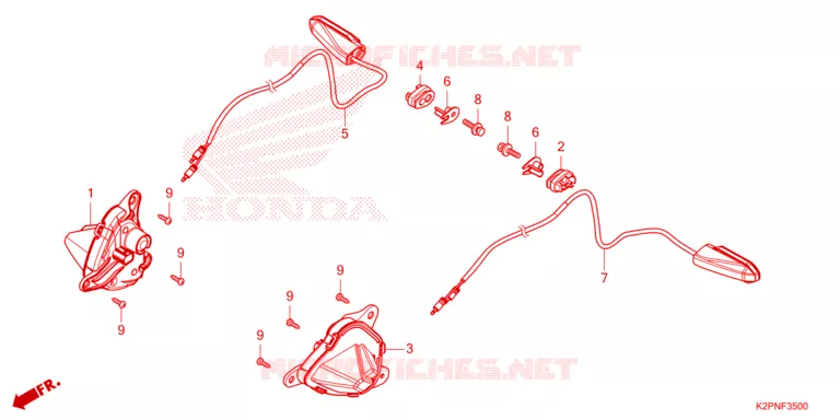 CLIGNOTANT Honda MOTO 150 WINNER 2024  FS150FAR
