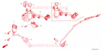 FAISCEAU pour Honda CB 125 R de 2024