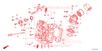 CULASSE pour Honda FORZA 350 de 2024