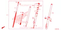 FOURCHE pour Honda CRF 110 de 2025