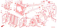 RADIATEUR pour Honda FOURTRAX 520 FOREMAN RUBICON 4X4 EPS de 2025
