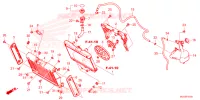 RADIATEUR   VASE D'EXPANSION pour Honda REBEL 1100 SE de 2025