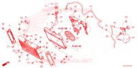 RADIATEUR   VASE D'EXPANSION pour Honda REBEL 1100 DCT de 2025