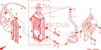 RADIATEUR pour Honda CR 80 R de 2000