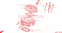 CYLINDRE   CULASSE pour Honda SFX 50 de 2001