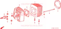 CYLINDRE   CULASSE pour Honda WALLAROO 50 self starter de 1992