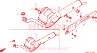 SILENCIEUX D'ECHAPPEMENT pour Honda WALLAROO 50 de 1994