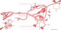 FAISCEAU DES FILS pour Honda TRX 250 FOURTRAX RECON de 2000