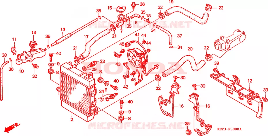 RADIATEUR Honda SCOOTER 150 PANTHEON 2000  FES150Y