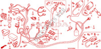 FAISCEAU DES FILS pour Honda SCV 100 LEAD de 2010