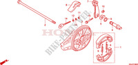 FLASQUE   MACHOIRES DE FREIN ARRIERE pour Honda CRF 100 de 2010
