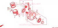 VILEBREQUIN   PISTON pour Honda XR 200 R de 2001