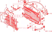 RADIATEUR pour Honda CR 250 R de 1997