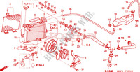RADIATEUR(D.) (VTR1000SP2/3/4/5/6) pour Honda VTR 1000 SP2 de 2005