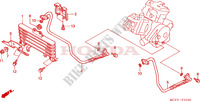 REFROIDISSEUR D'HUILE(VTR1000SPY/1) pour Honda VTR 1000 SP1 RC51 de 2000