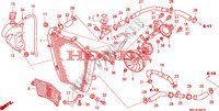 RADIATEUR  pour Honda CBR 1000 RR FIREBLADE REPSOL de 2007