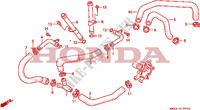 DURITE DE REFROIDISSEMENT pour Honda TRANSALP 600 27HP de 1991
