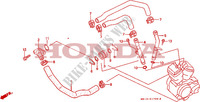 DURITE DE REFROIDISSEMENT pour Honda VT SHADOW 600 27HP de 1989