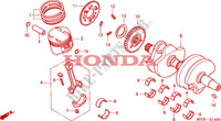 VILEBREQUIN   PISTON pour Honda CB 500 S 34HP de 2002