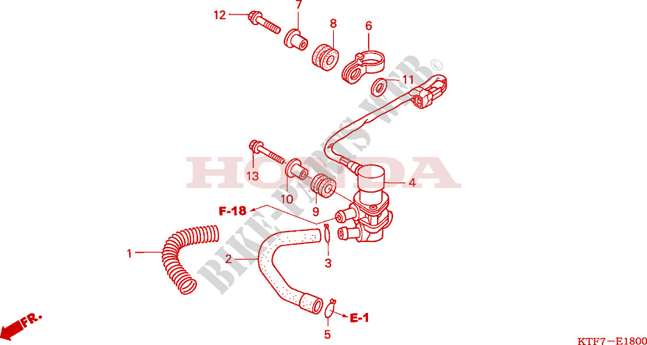 SOUPAPE D'ADMISSION pour Honda SH 125 R, REAR DRUM BRAKE, SPECIAL de 2008