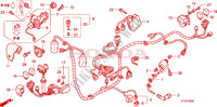 FAISCEAU DES FILS pour Honda PS 125 INJECTION SPORTY de 2010