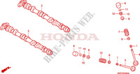 ARBRE A CAMES   SOUPAPE pour Honda CBF 600 NAKED BI TONS de 2006